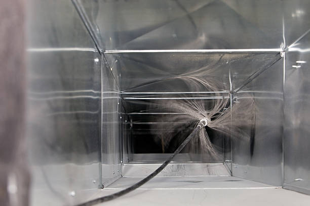 Best Air Duct Sanitizing Services  in North Lewisburg, OH