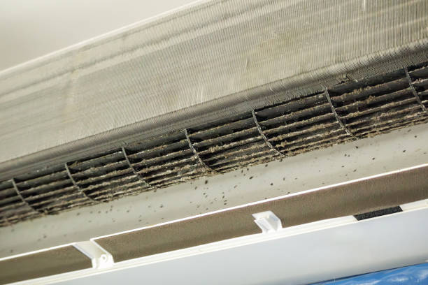 Best Air Vent Cleaning Services  in North Lewisburg, OH